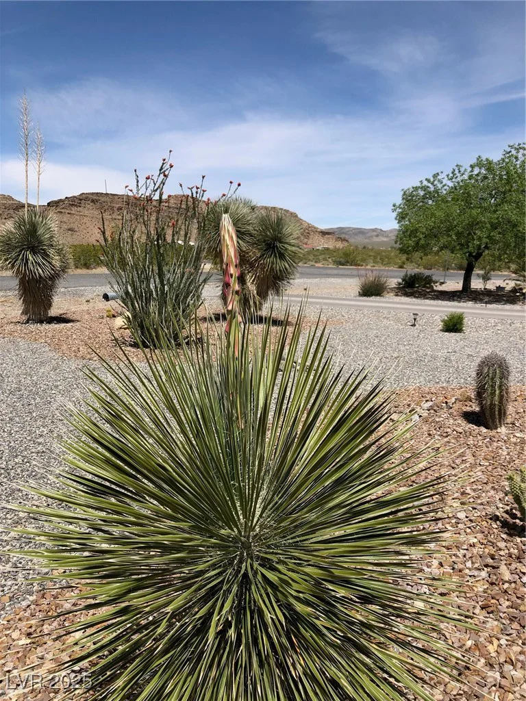 4351 Bell Vista, Pahrump, NV 89060