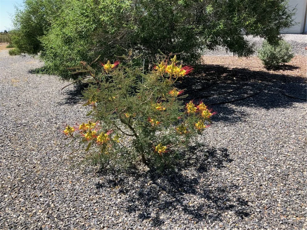 4351 Bell Vista, Pahrump, NV 89060