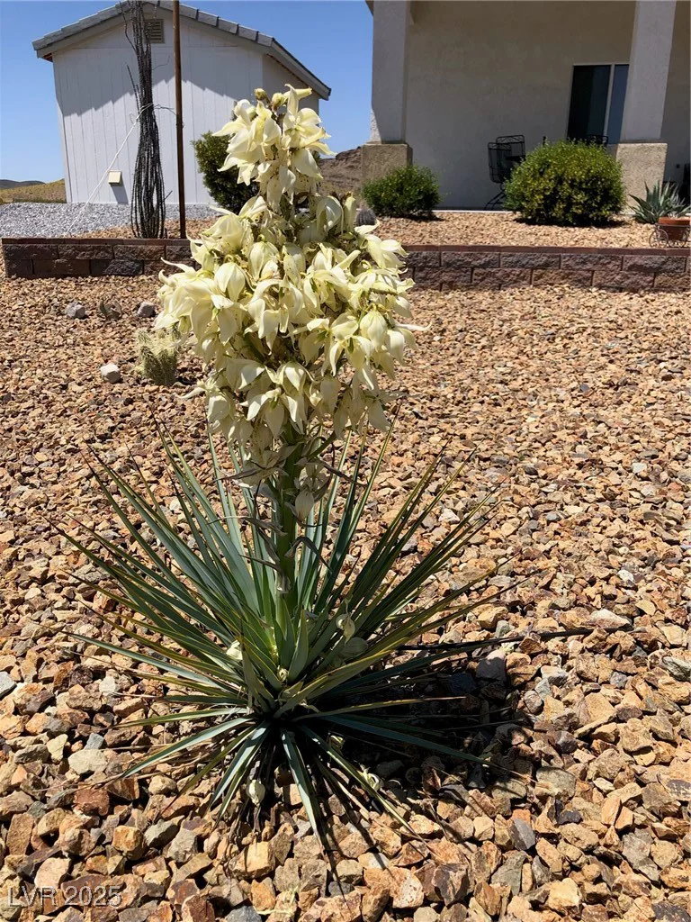 4351 Bell Vista, Pahrump, NV 89060