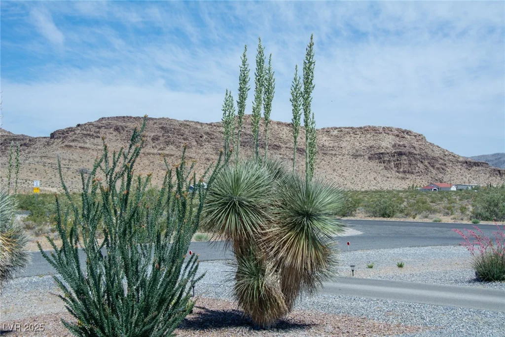 4351 Bell Vista, Pahrump, NV 89060