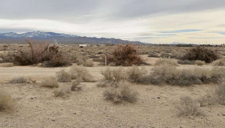 361 Abilene, Pahrump, NV 89060