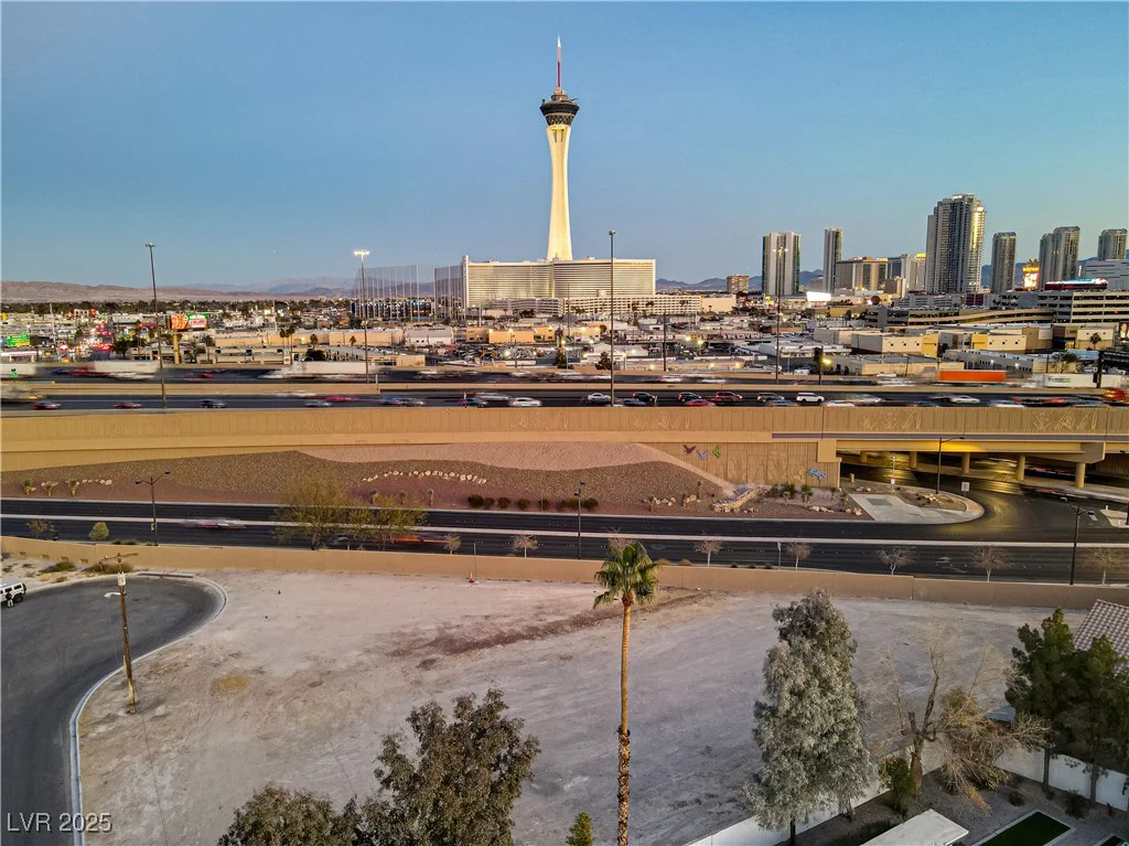 Silver, Las Vegas, NV 89102