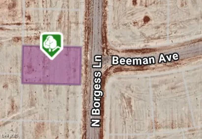 6270 Borgess, Pahrump, NV 89060