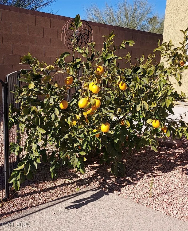 5635 Exotic Rosette, Las Vegas, NV 89139