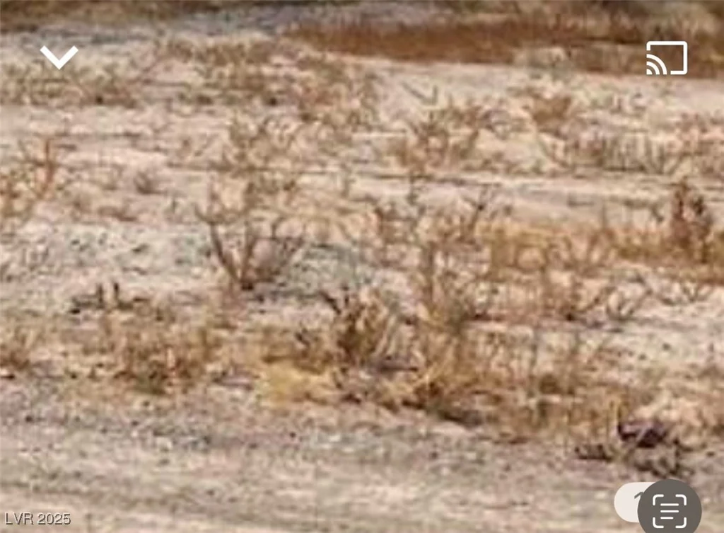 2380 leslie, Pahrump, NV 89060