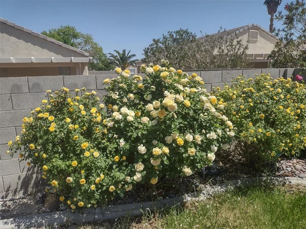 5916 Naperville, Las Vegas, NV 89130