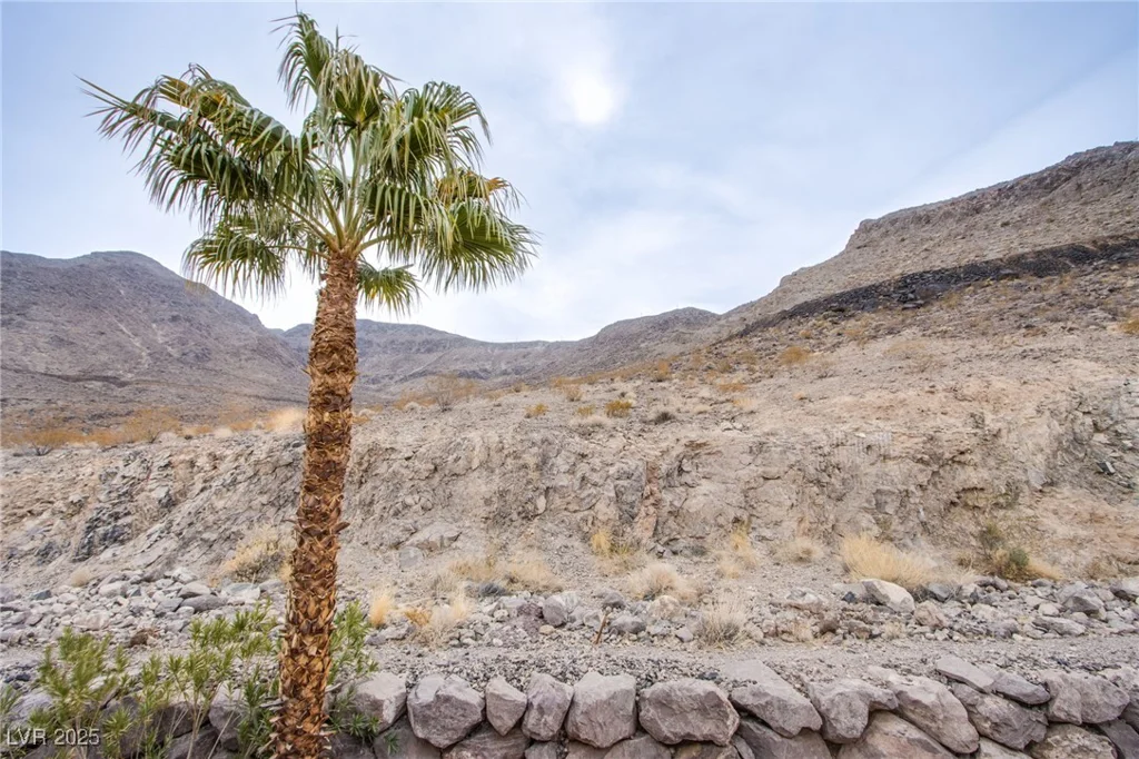 723 Value Ridge, Henderson, NV 89012