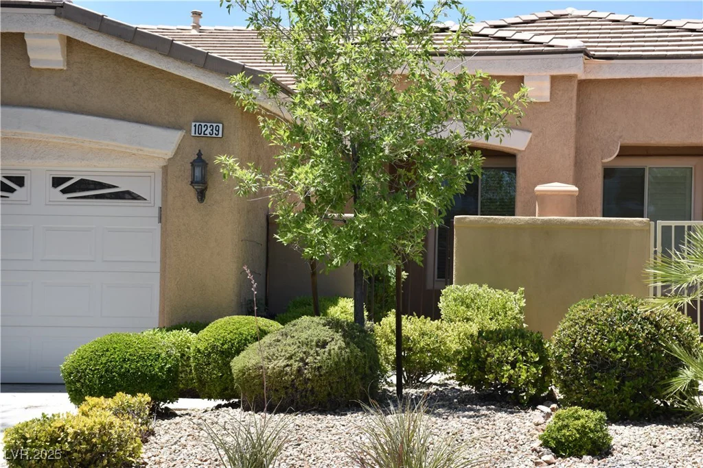 10239 PREMIA, Las Vegas, NV 89135