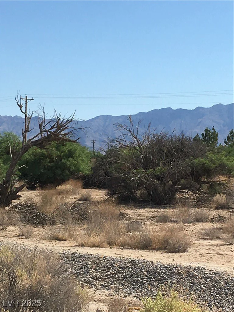2781 Manzanita, Pahrump, NV 89048