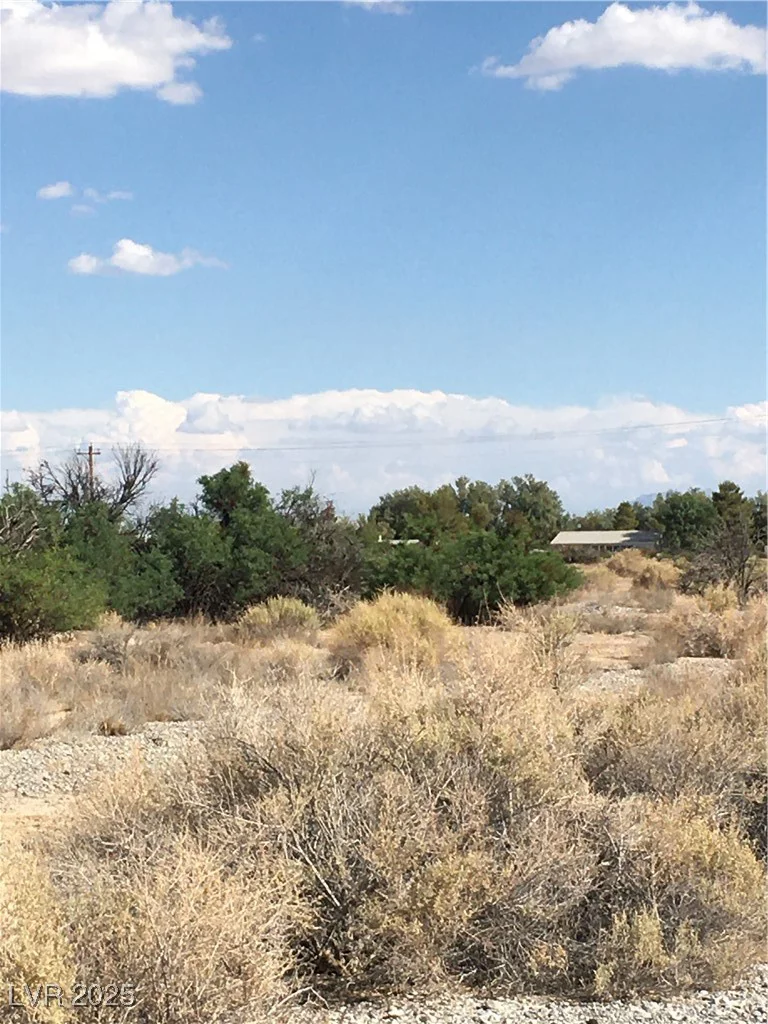 2781 Manzanita, Pahrump, NV 89048