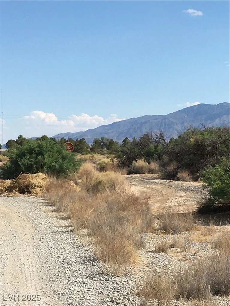 2781 Manzanita, Pahrump, NV 89048