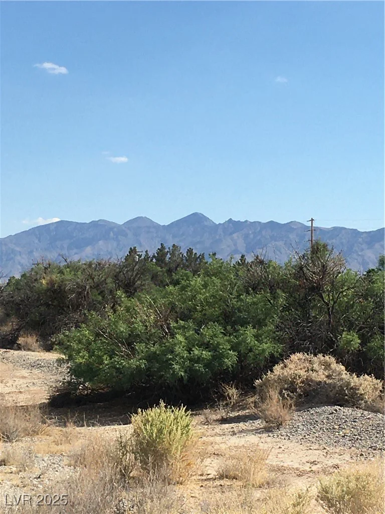2781 Manzanita, Pahrump, NV 89048