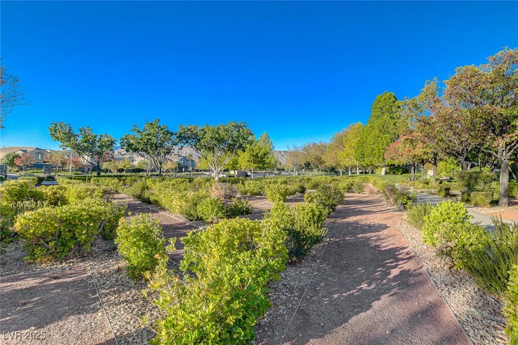 10397 Walking View, Las Vegas, NV 89135
