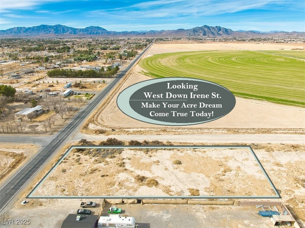 480 Irene, Pahrump, NV 89060