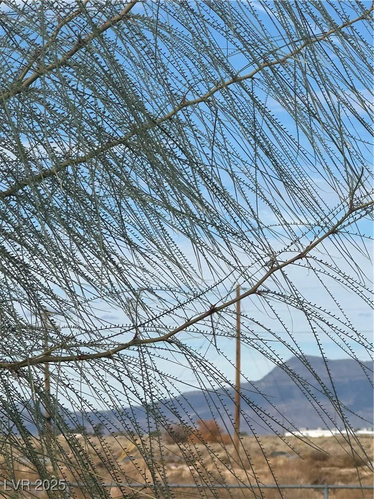 1640 Kearney, Pahrump, NV 89048