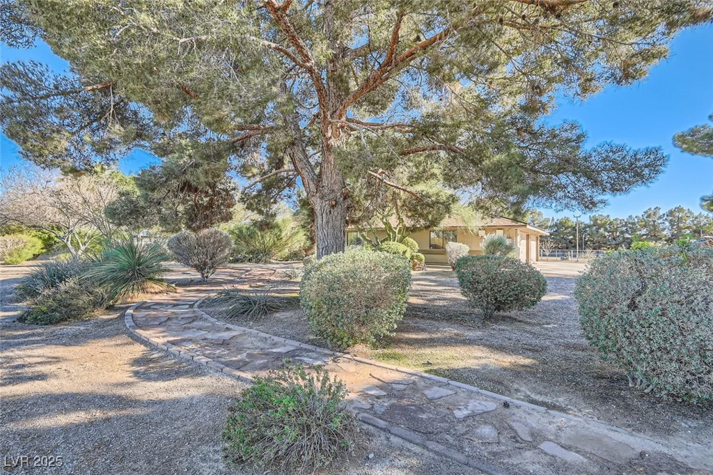 6925 Donald Nelson, Las Vegas, NV 89131