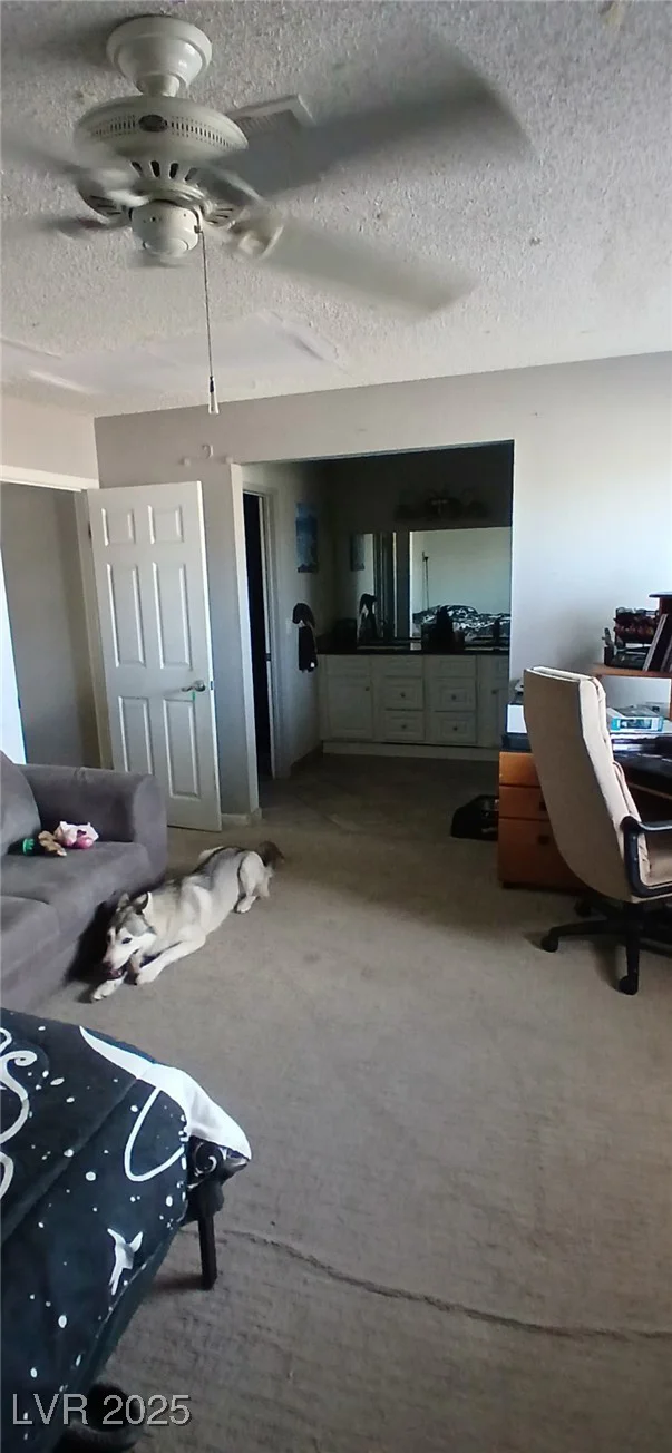 6717 Sheffield, Las Vegas, NV 89108