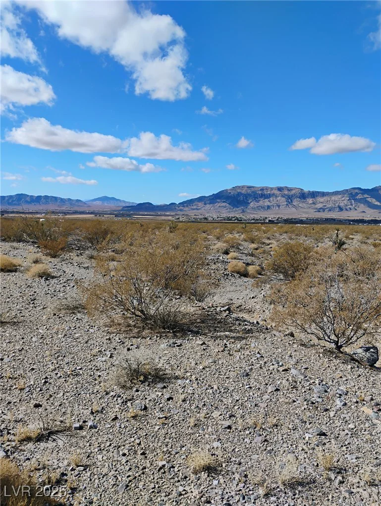 1990 Gorgono, Pahrump, NV 89060