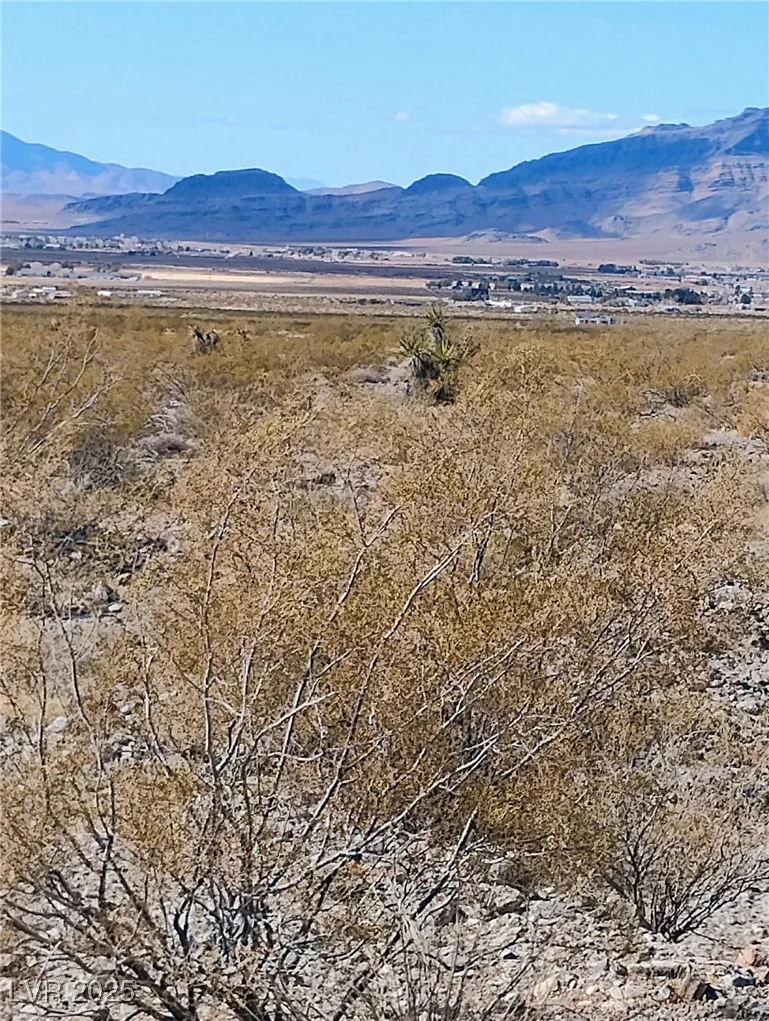 1990 Gorgono, Pahrump, NV 89060