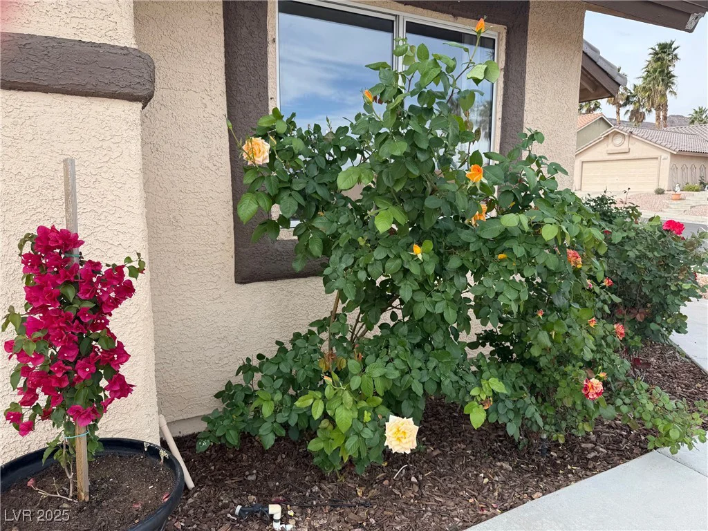 845 Holly Lake, Henderson, NV 89002