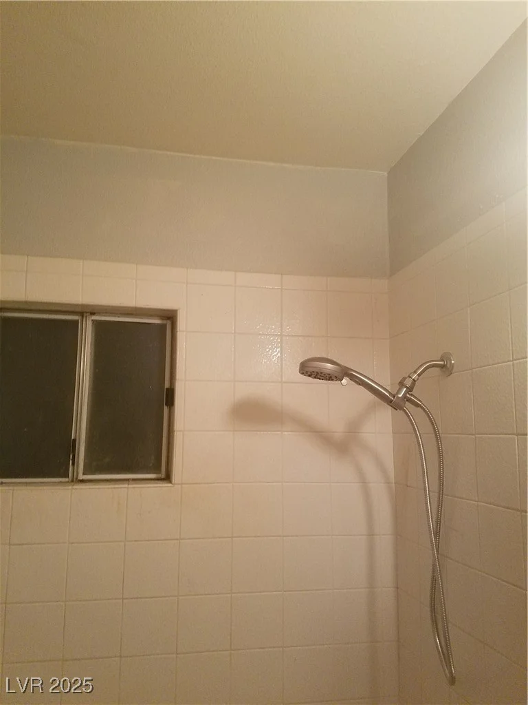 11 Magnesium, Henderson, NV 89015
