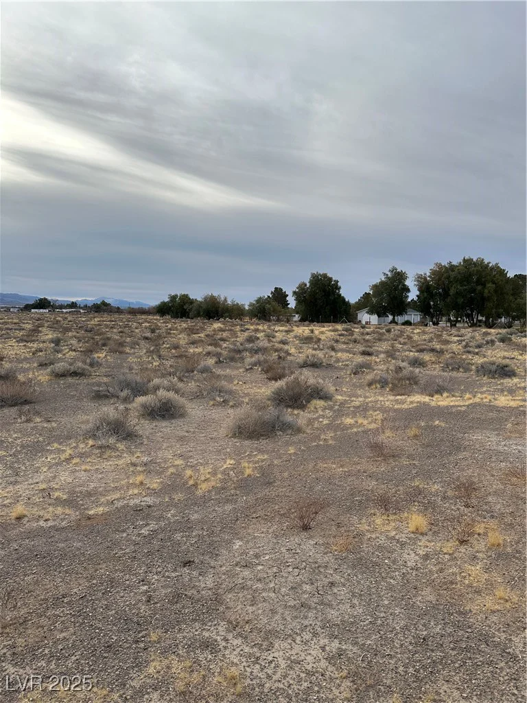 2473 Balzar, Pahrump, NV 89060