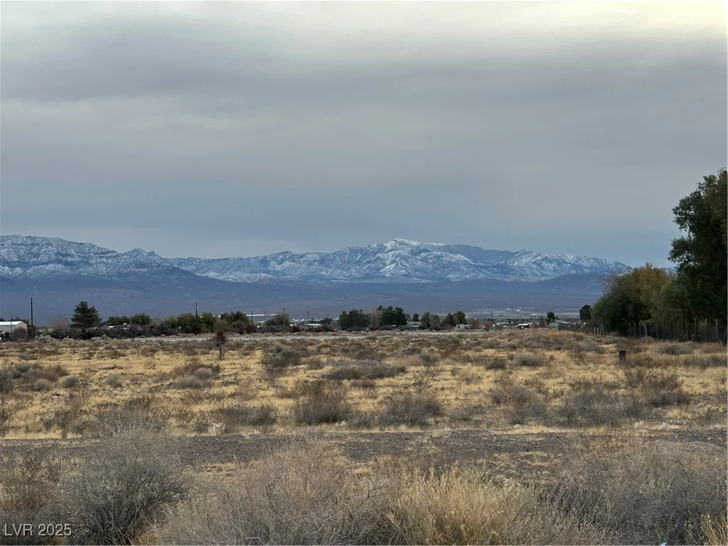 2473 Balzar, Pahrump, NV 89060