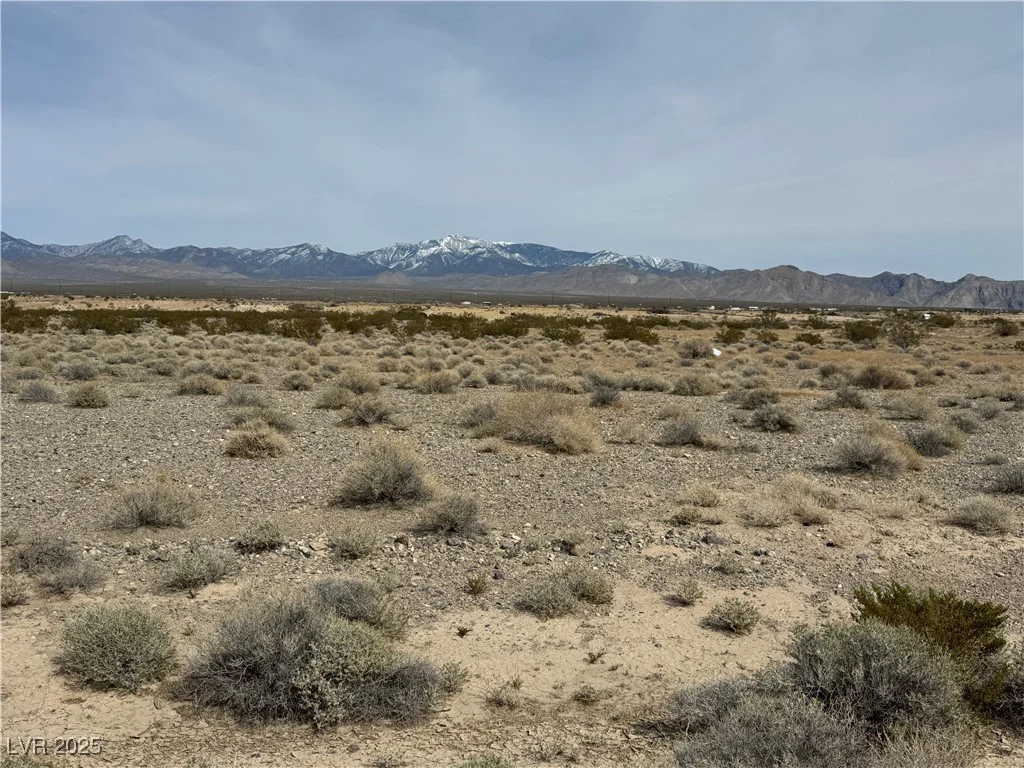 731 Emery, Pahrump, NV 89060