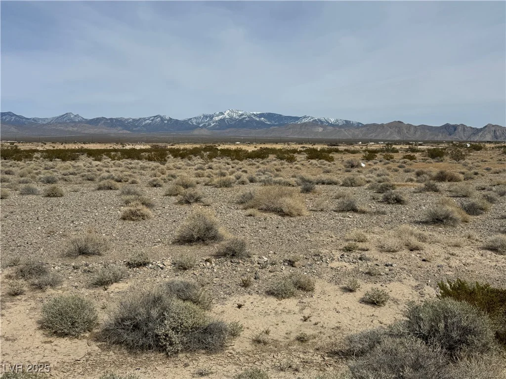 731 Emery, Pahrump, NV 89060