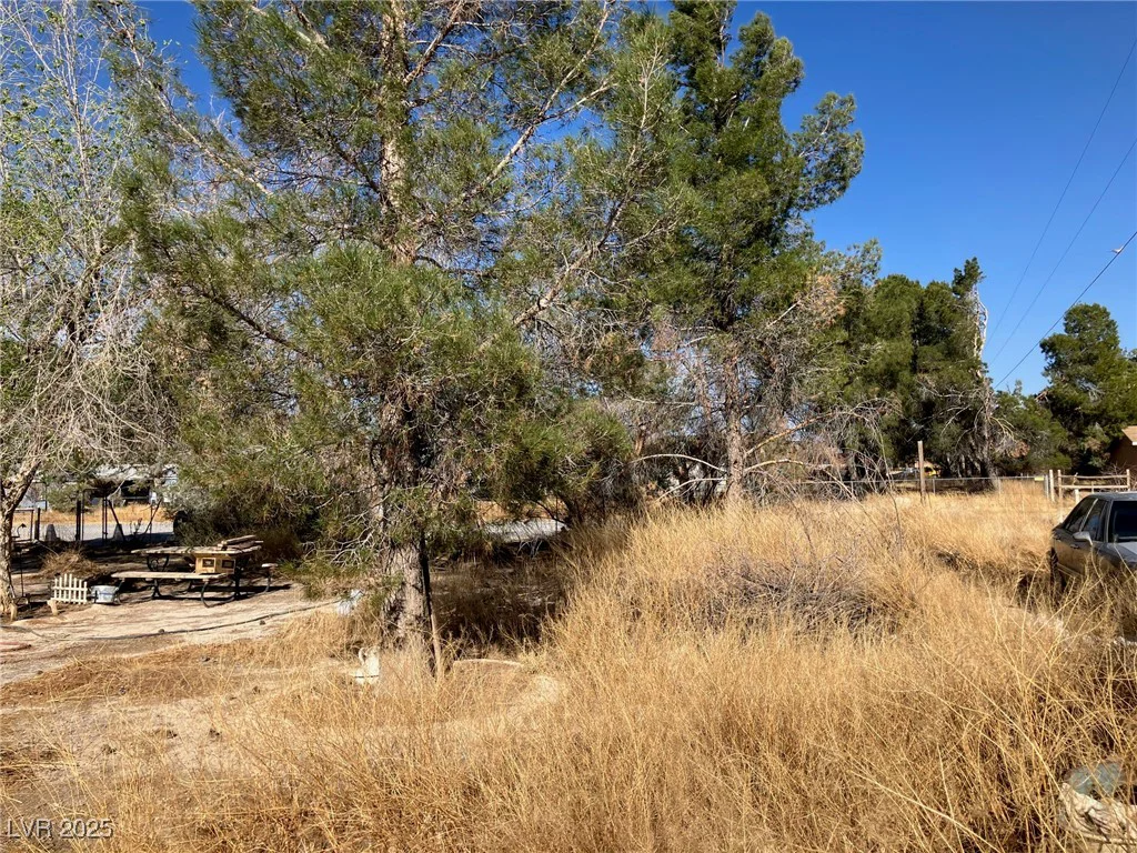 7830 Wildhorse, Pahrump, NV 89060