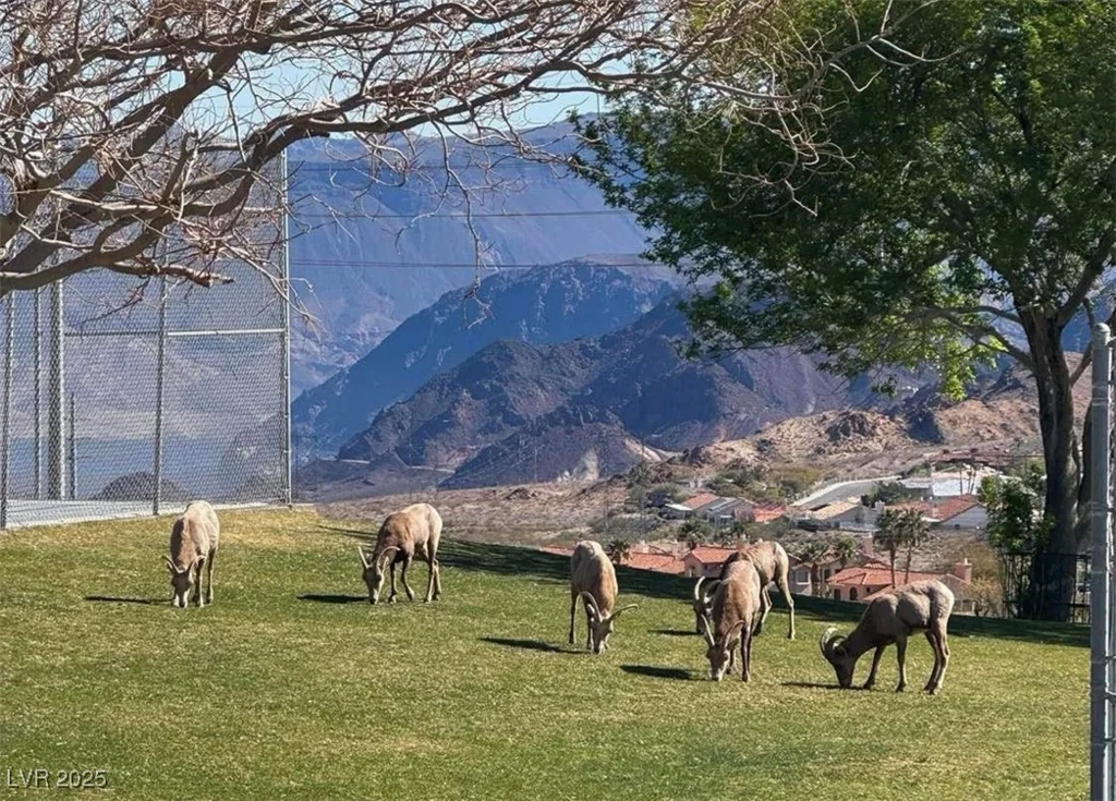 217 Big Horn, Boulder City, NV 89005