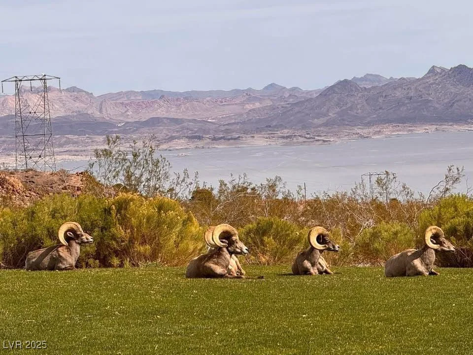 217 Big Horn, Boulder City, NV 89005