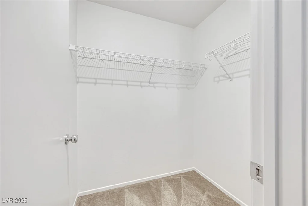 2020 Self Portrait, Henderson, NV 89044
