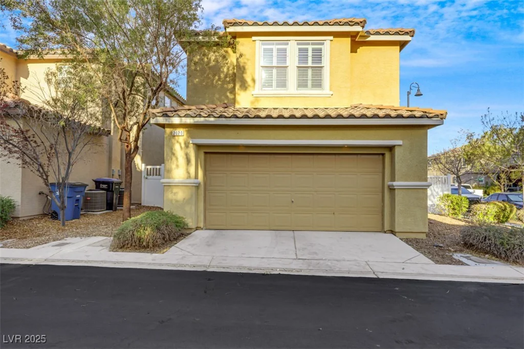 2020 Self Portrait, Henderson, NV 89044