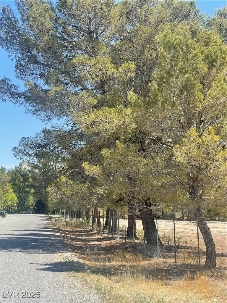 2431 Dyer, Pahrump, NV 89048