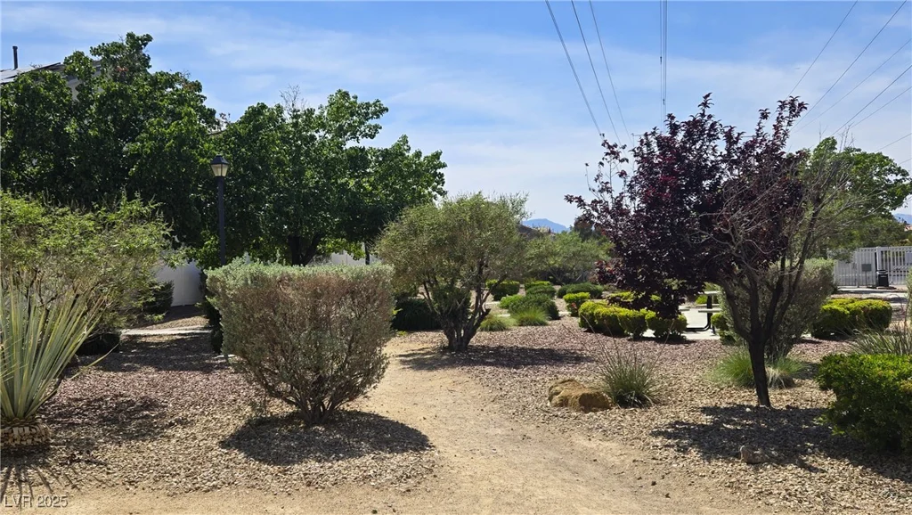 10342 Cherry Brook, Las Vegas, NV 89183