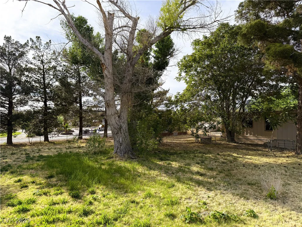 1260 White, Pahrump, NV 89060