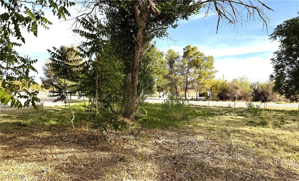 1260 White, Pahrump, NV 89060