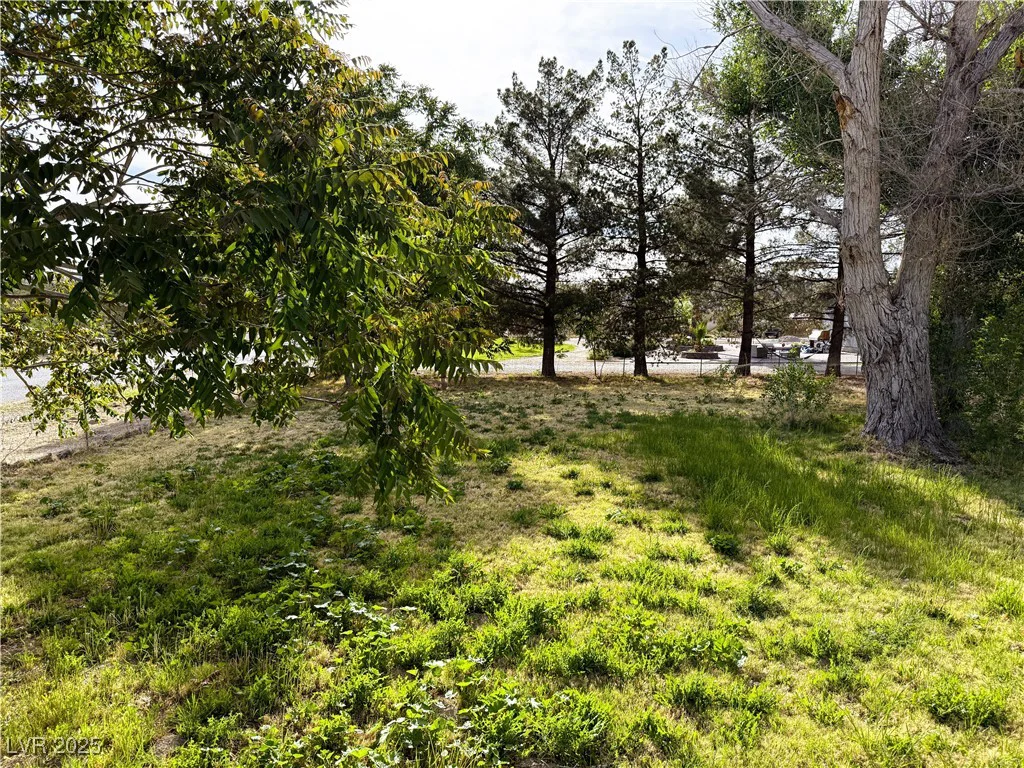 1260 White, Pahrump, NV 89060