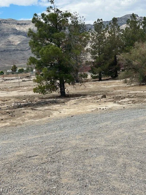1591 Avellaneda, Pahrump, NV 89060