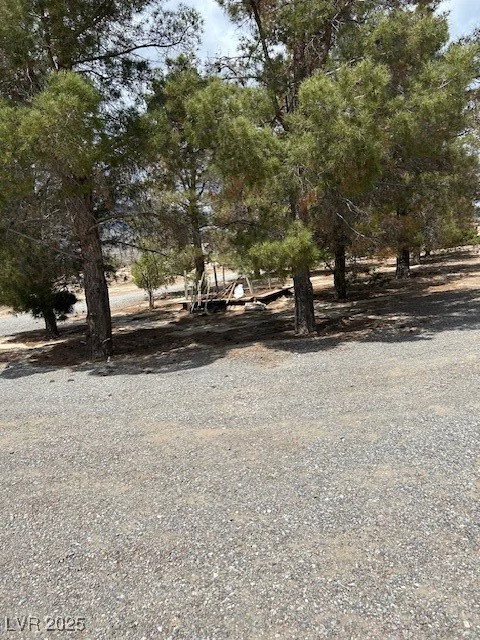 1591 Avellaneda, Pahrump, NV 89060
