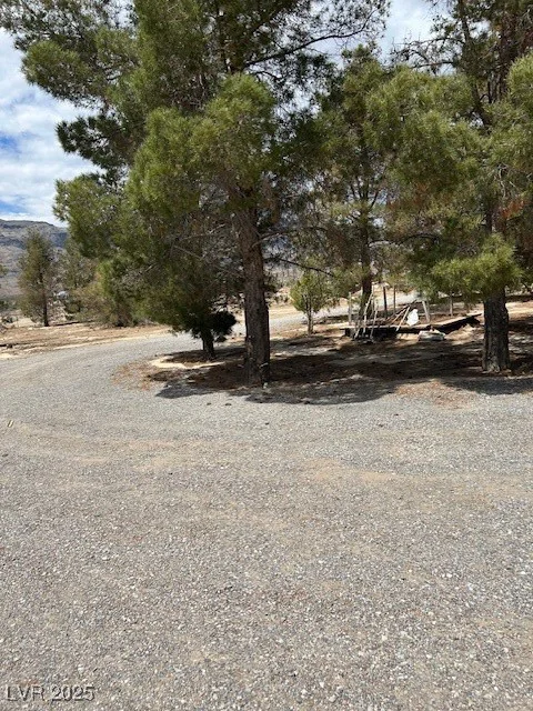 1591 Avellaneda, Pahrump, NV 89060