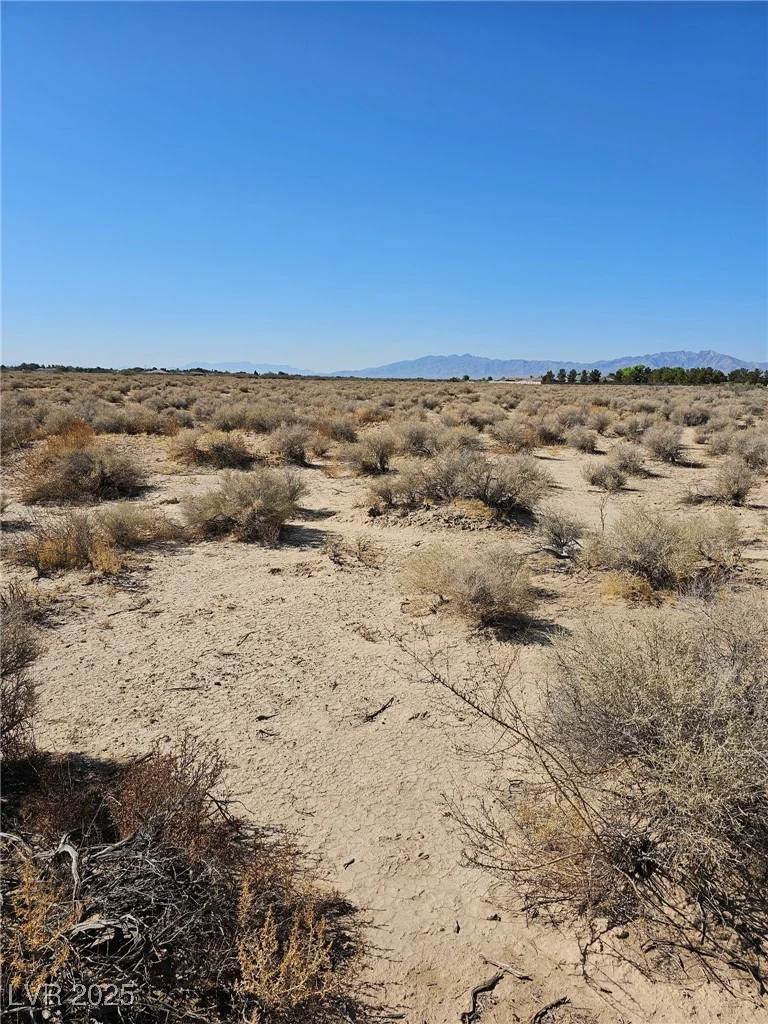 1061 Nye, Pahrump, NV 89060