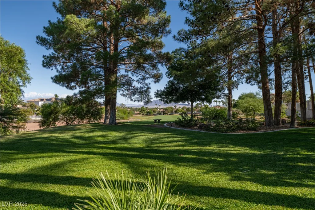 1925 Grey Eagle, Henderson, NV 89074