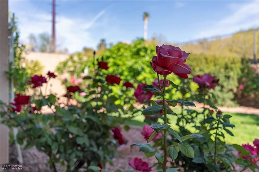 2554 Braehead, Henderson, NV 89044