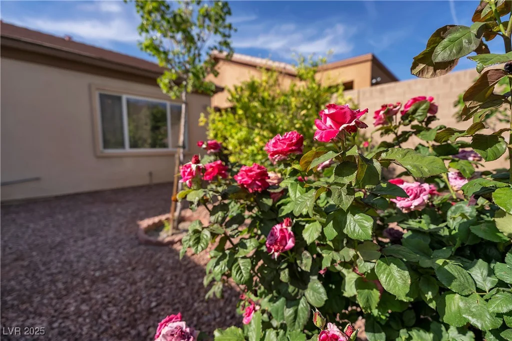2554 Braehead, Henderson, NV 89044