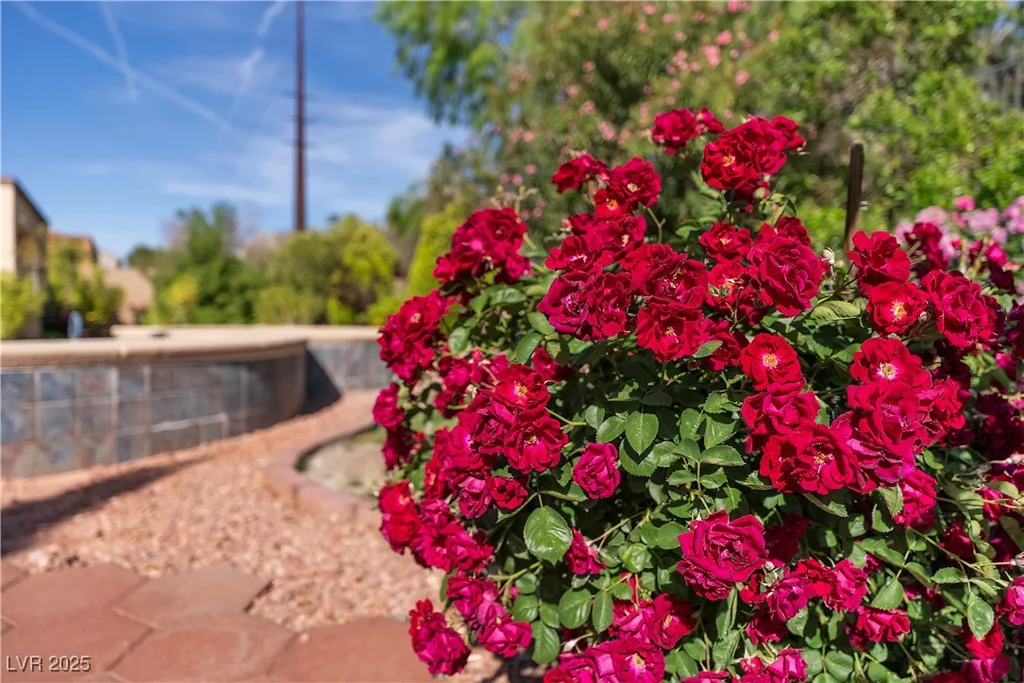 2554 Braehead, Henderson, NV 89044