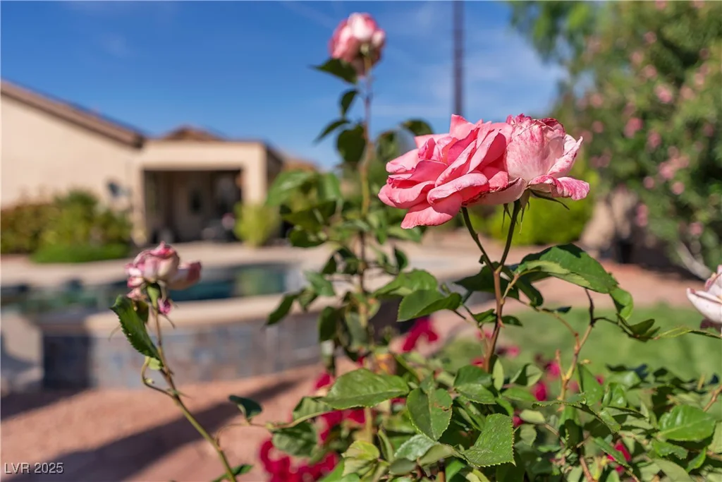 2554 Braehead, Henderson, NV 89044