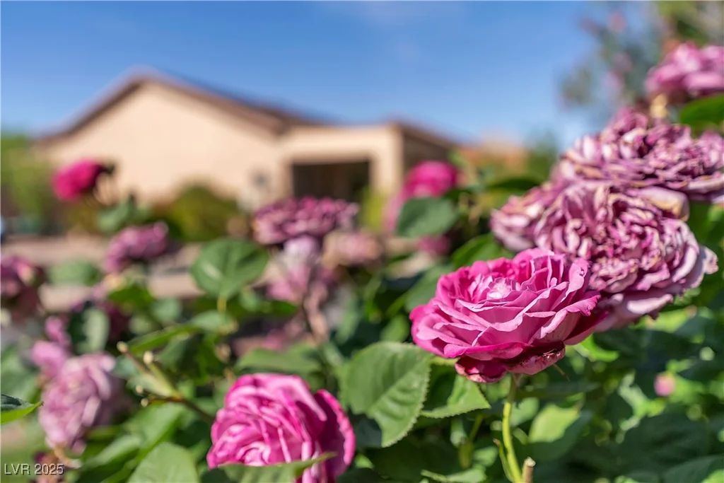 2554 Braehead, Henderson, NV 89044
