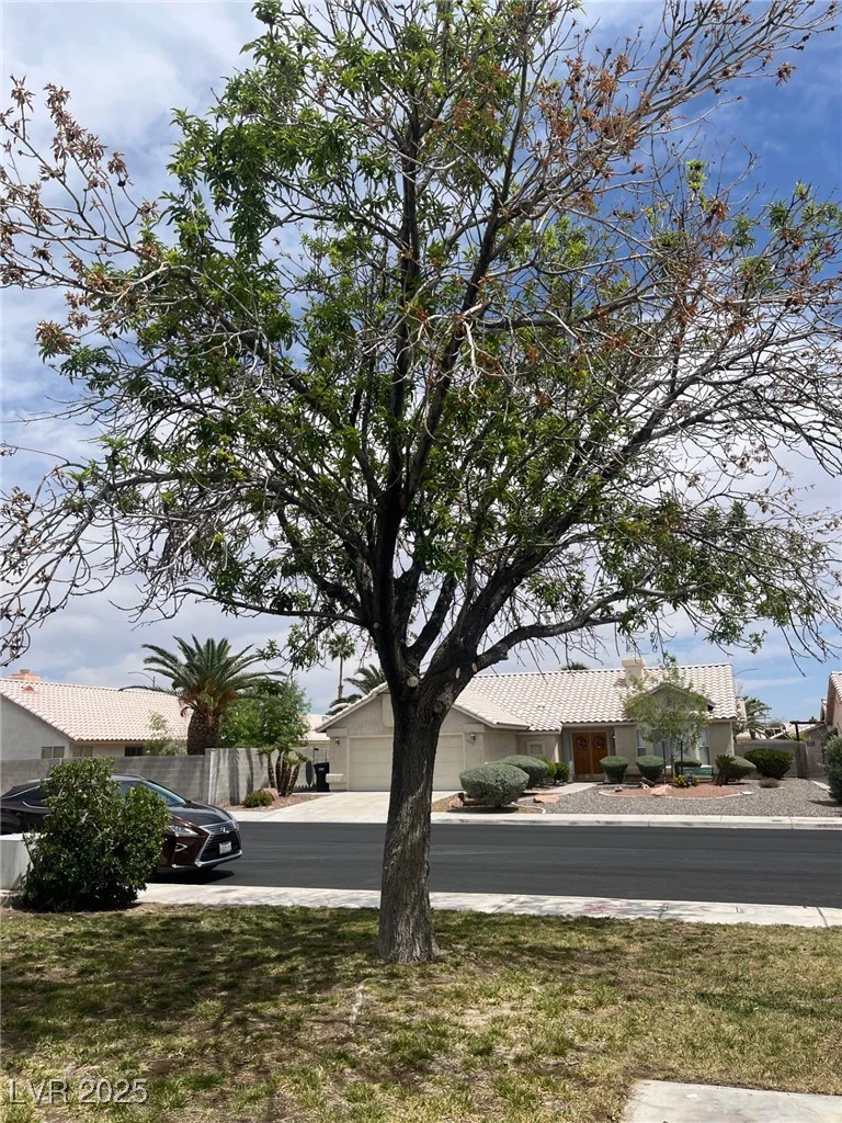 4931 Crystal Breeze, North Las Vegas, NV 89031